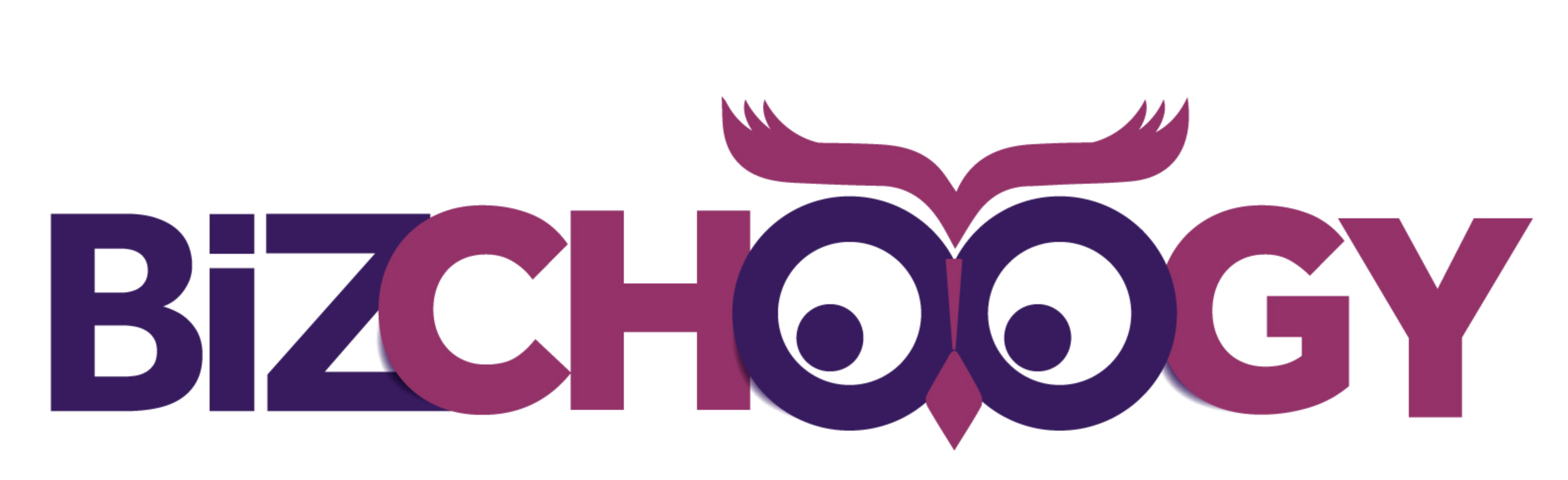 Bizchoogy